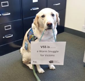 Lucy service dog holding sign VSS warm snuggle for victims