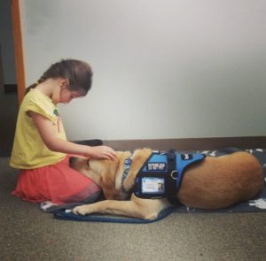 young girl petting service dog in lap